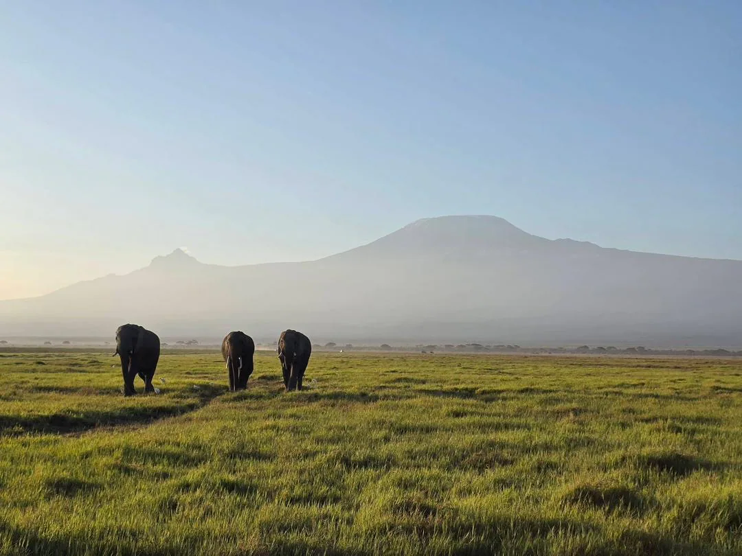 Kilimanjaro summit landscape