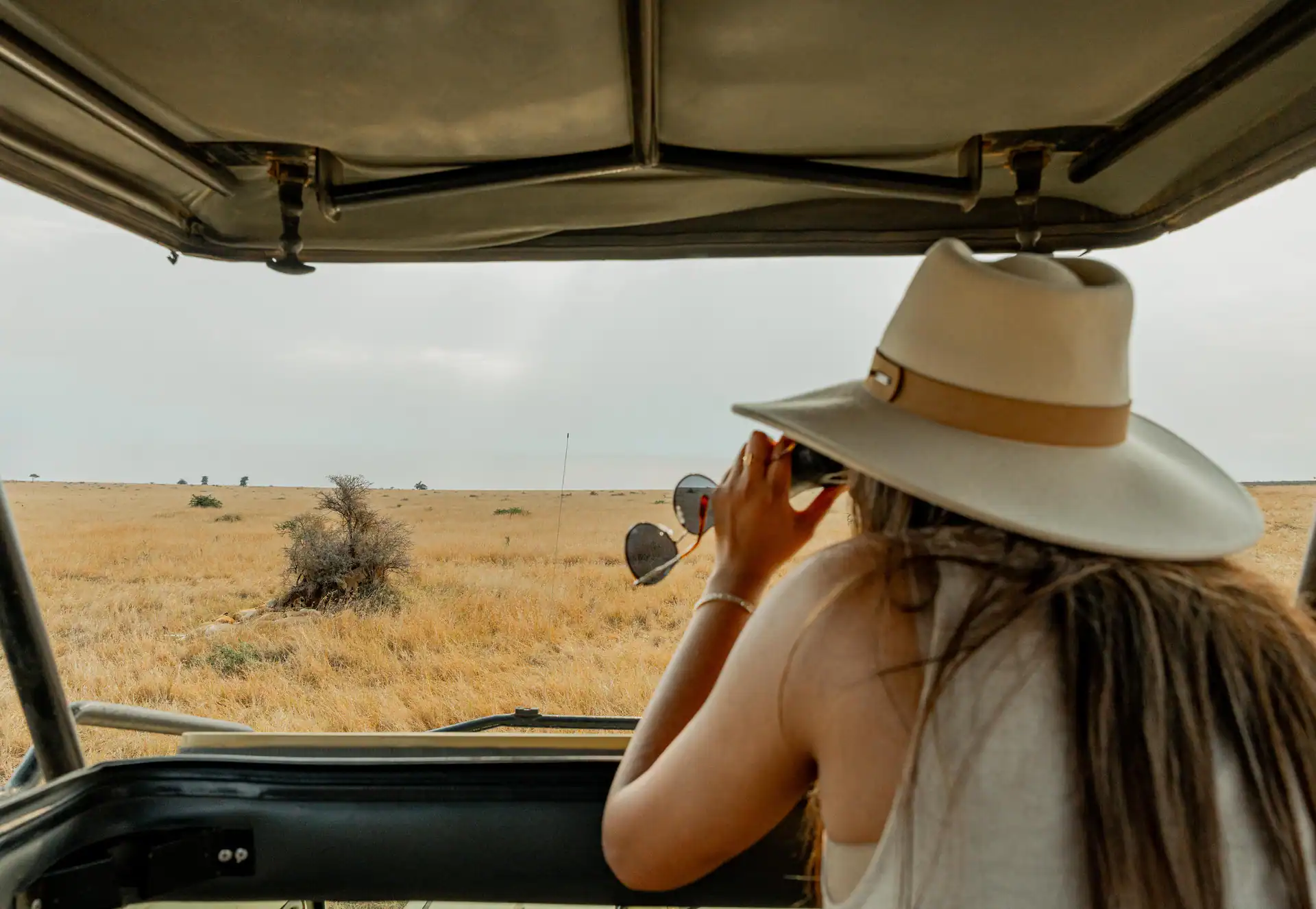 Tanzania safari landscape