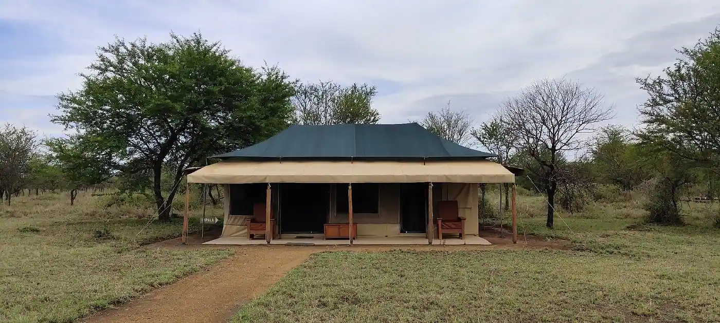 Into Wild Camp in the Serengeti