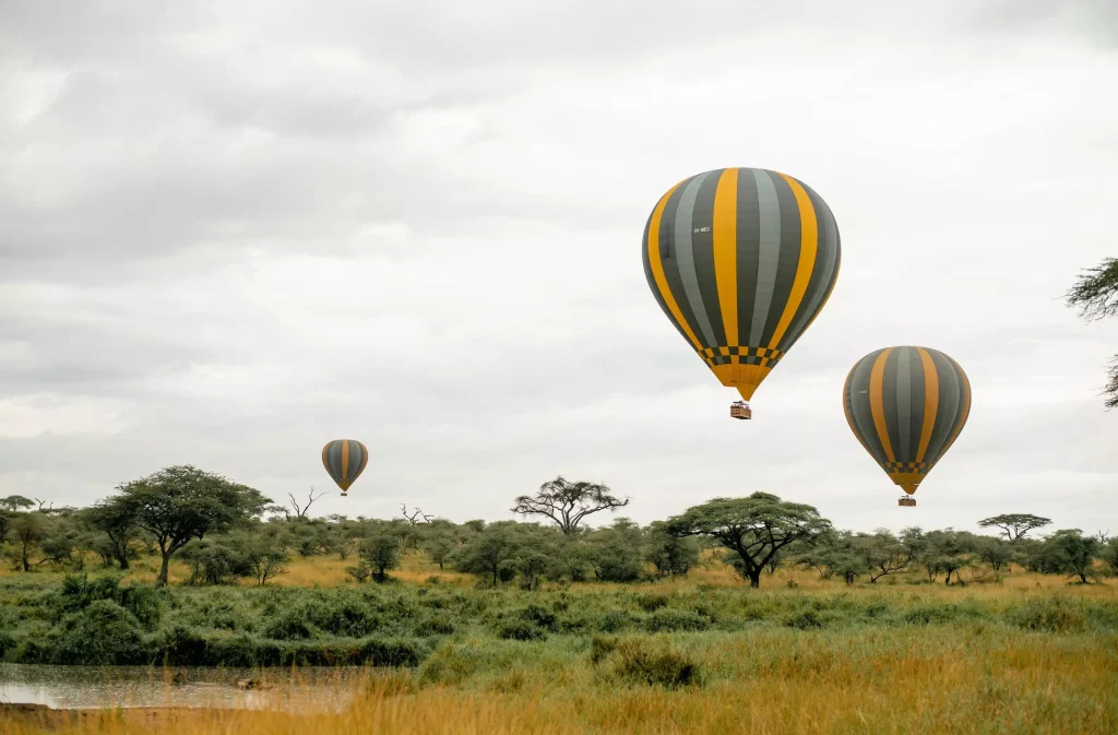 African wildlife during a safari