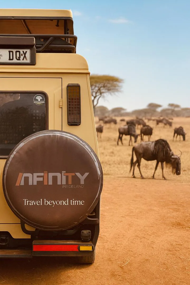 Wildlife encounter on safari