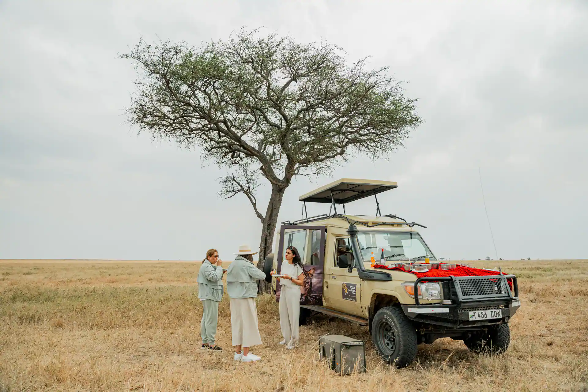 Tanzania safari experience