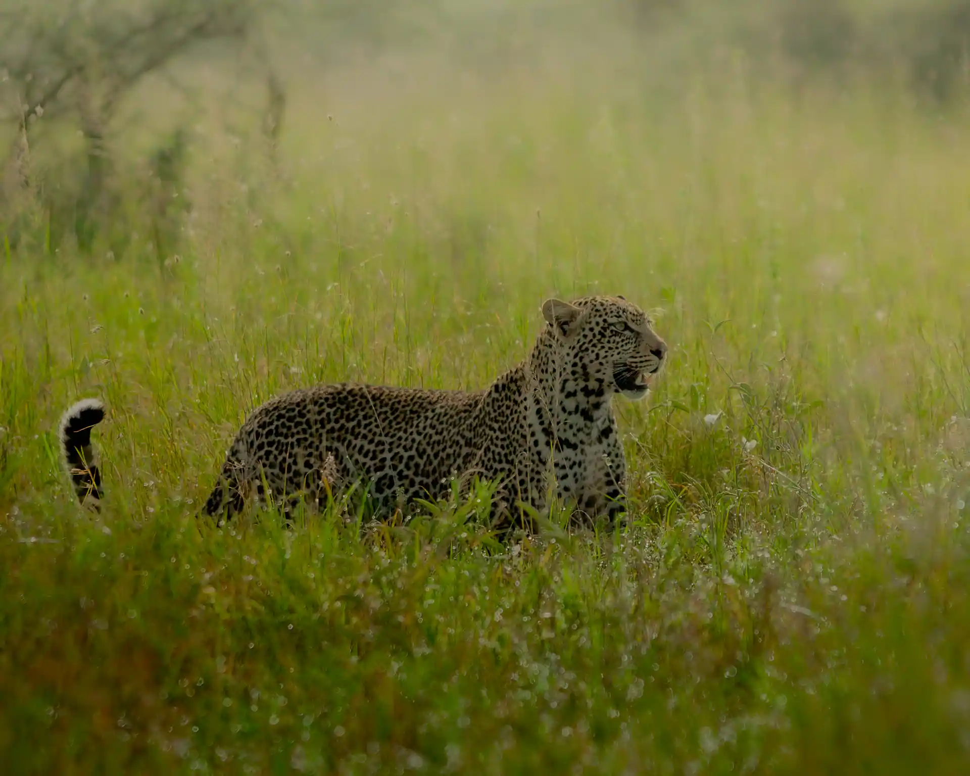 Moments from the Tanzanian bush