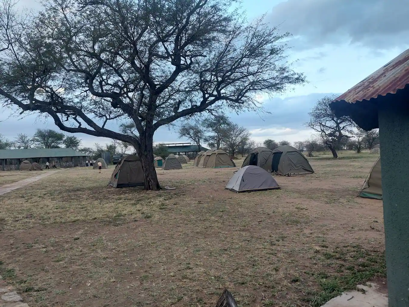 Nyani Public Campsite in the Serengeti